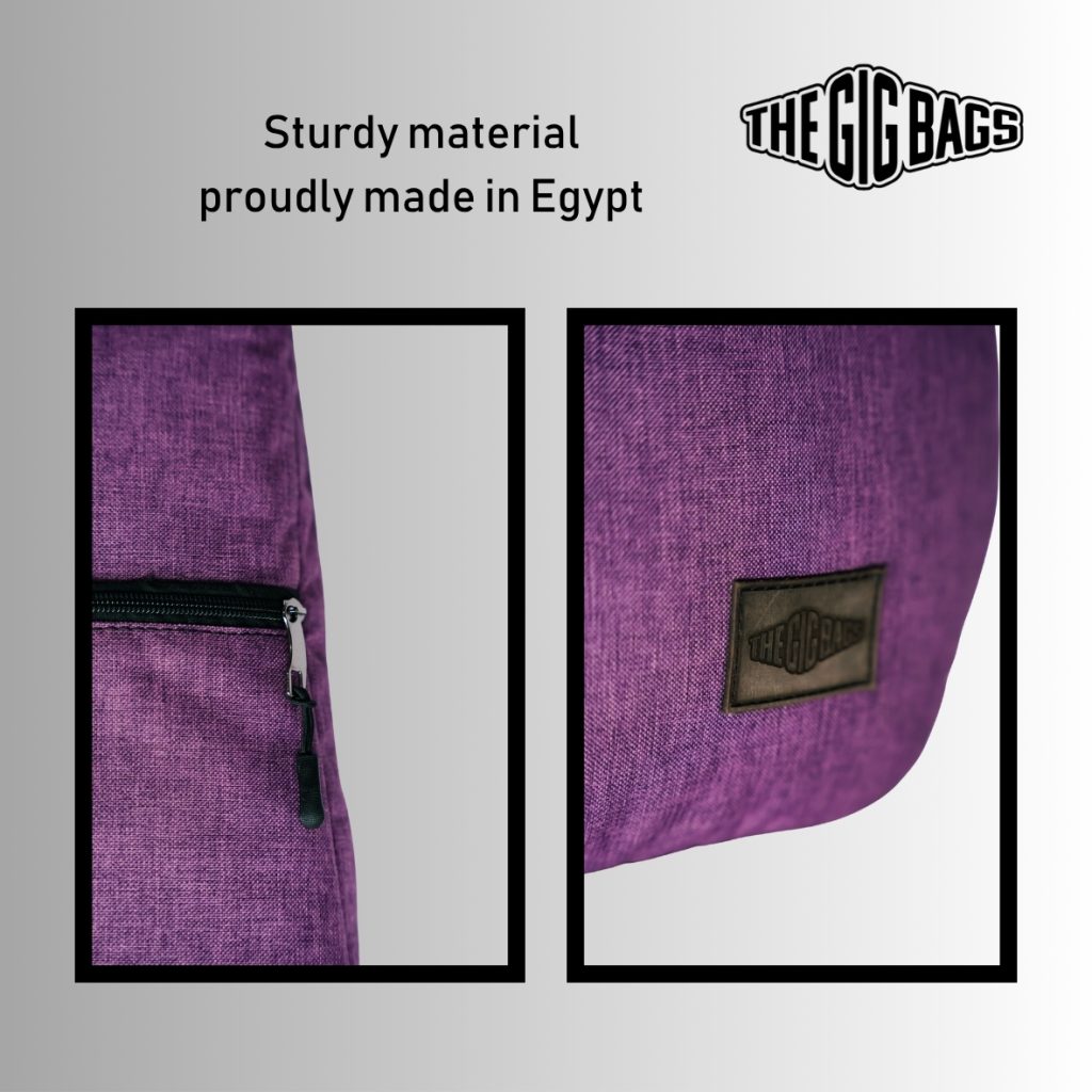 bass guitar case egypt purple bag cases