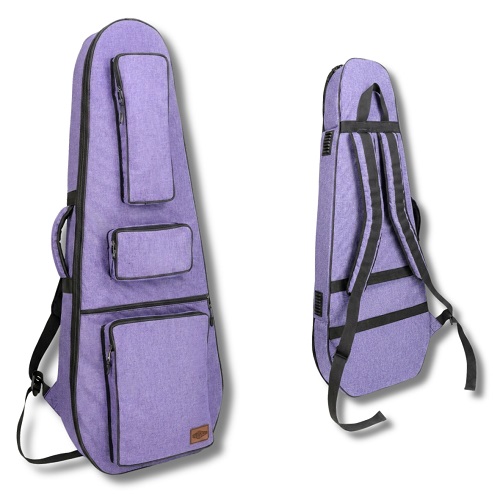 electric guitars Egypt semi-hard cases